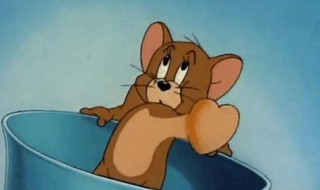 老鼠英语怎么读（老鼠英语怎么读mouse）
