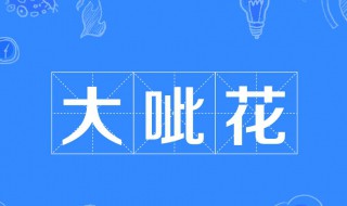 大呲花什么意思 大呲花什么意思?