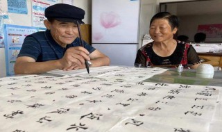 最有效的练字方法（最有效的练字方法小学生）