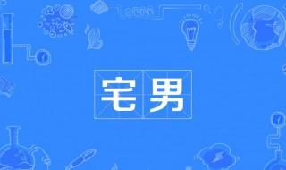 什么是宅男 什么是宅男、宅女?