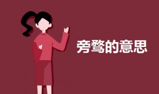 旁骛的意思（心无旁骛的意思）