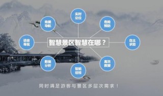 智慧晶怎么玩（智慧晶怎么不能用了）