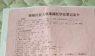 狗狗疫苗接种时间表 狗狗疫苗接种时间表图