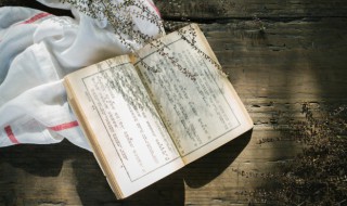 游子吟的作者简介 游子吟的作者简介和意思