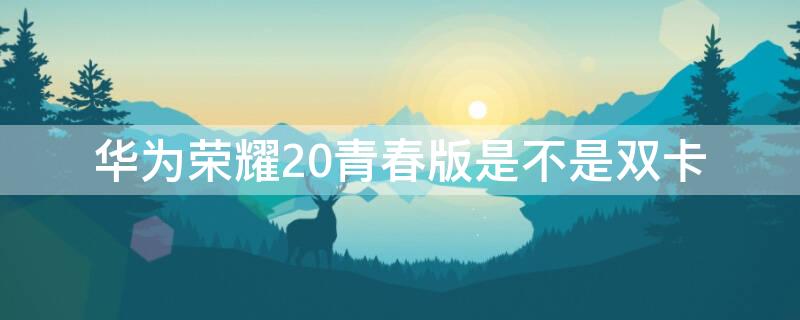 华为荣耀20青春版是不是双卡（华为荣耀20青春版是不是双卡双待）