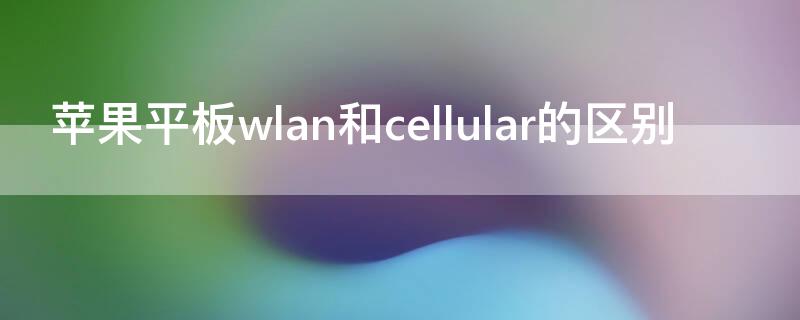 iPhone平板wlan和cellular的区别（苹果平板电脑cellular版与wlan版的区别）