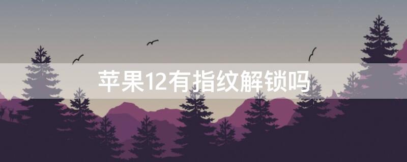 iPhone12有指纹解锁吗 iphone12有指纹解锁功能吗