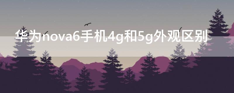 华为nova6手机4g和5g外观区别（华为nova6和nova6 5g外形区别）