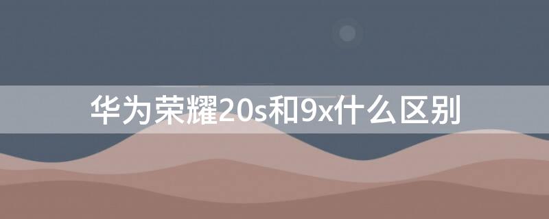 华为荣耀20s和9x什么区别（华为20s和华为9x哪个好）