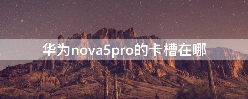 华为nova5pro的卡槽在哪（华为nova5i pro卡槽在哪）