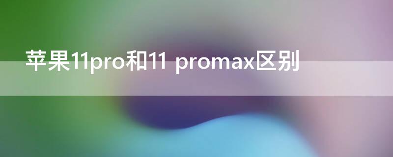 iPhone11pro和11（iphone11pro和11promax参数对比）