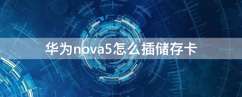 华为nova5怎么插储存卡（华为nova5怎么插储存卡视频）