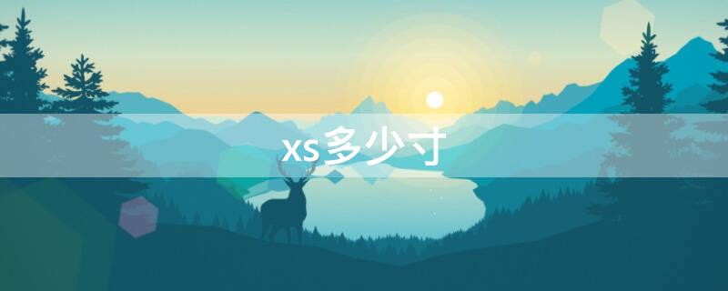 xs多少寸（xs多少寸和xr对比）