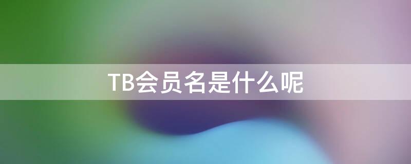 TB会员名是什么呢