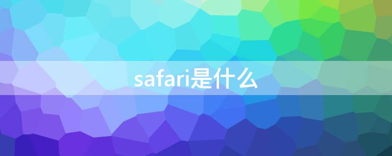 safari是什么（safari是什么意思）