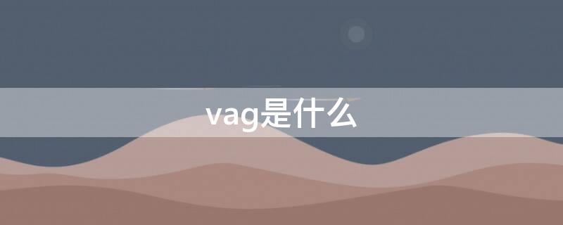 vag是什么 vag是什么意思