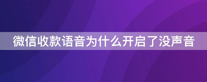 微信收款语音为什么开启了没声音（为什么打开了微信收款语音提醒没有声音）