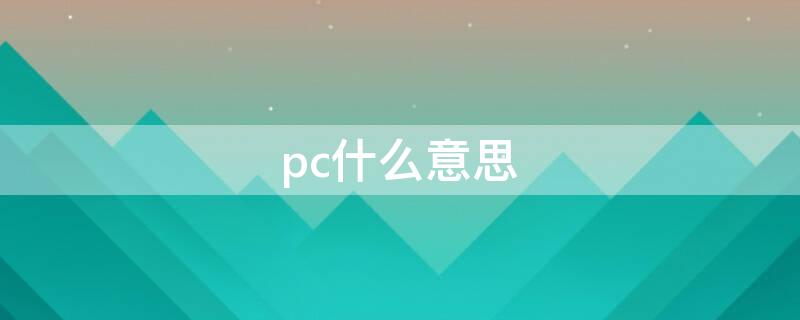 pc什么意思 pc什么意思 污知识