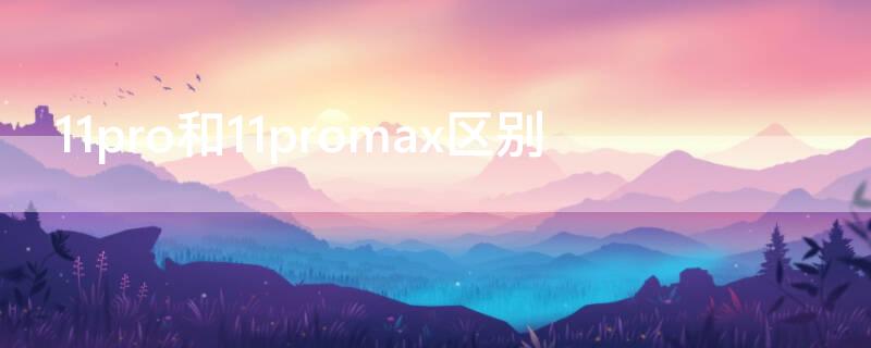 11pro和11promax区别（11pro和11promax区别在哪）