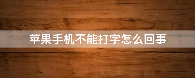 iPhone手机不能打字怎么回事 iphone手机不能打字怎么回事儿