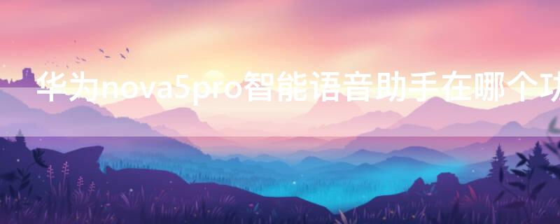 华为nova5pro智能语音助手在哪个功能里（华为nova5i pro语音助手有哪些功能）