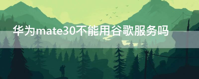 华为mate30不能用谷歌服务吗（华为mate30pro不能用谷歌服务）