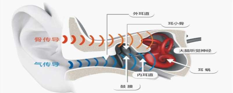 骨传导耳机是什么 骨传导耳机是什么时候发明的