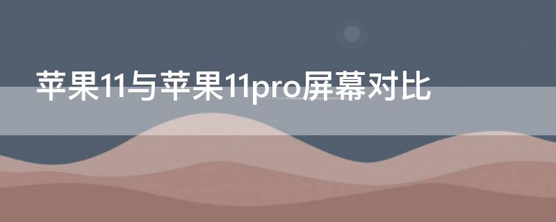 iPhone11与iPhone11pro屏幕对比 iPhone11和iPhone11pro屏幕对比