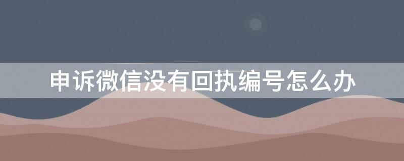 申诉微信没有回执编号怎么办 申诉微信没有回执编号怎么办理