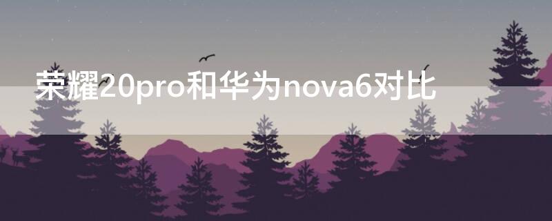 荣耀20pro和华为nova6对比（荣耀20pro和华为nova6se哪个好）