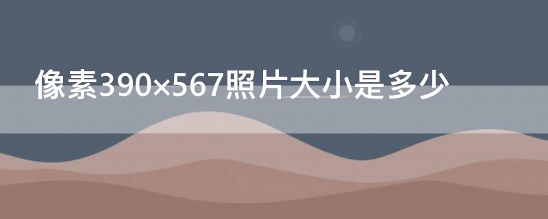 像素390×567照片大小是多少（照片大小252×312是多少像素）