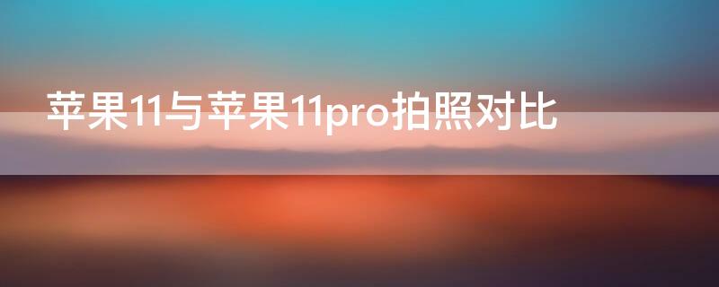 iPhone11与iPhone11pro拍照对比（iphone 11 iphone 11pro 拍照对比）