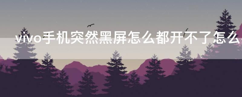 vivo手机突然黑屏怎么都开不了怎么办（vivo手机莫名黑屏开不了机）