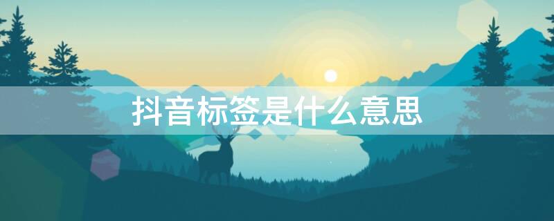 抖音标签是什么意思（抖音标签是什么意思 从哪里看）