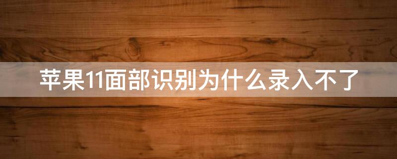 iPhone11面部识别为什么录入不了（iphone11面容无法录入）
