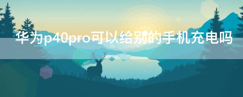 华为P40可以给别的手机充电吗（华为p40可以给别的手机充电吗）