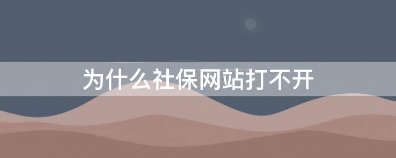 为什么社保网站打不开（社保网站打不开怎么办）