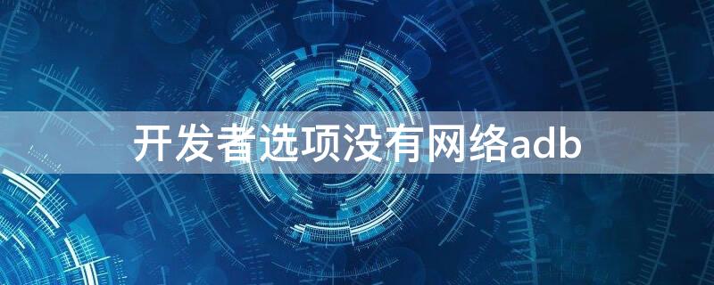 开发者选项没有网络adb（开发者工具没有网络选项）