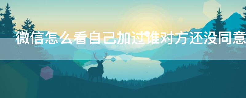 微信怎么看自己加过谁对方还没同意（微信怎么看我加没加过他）
