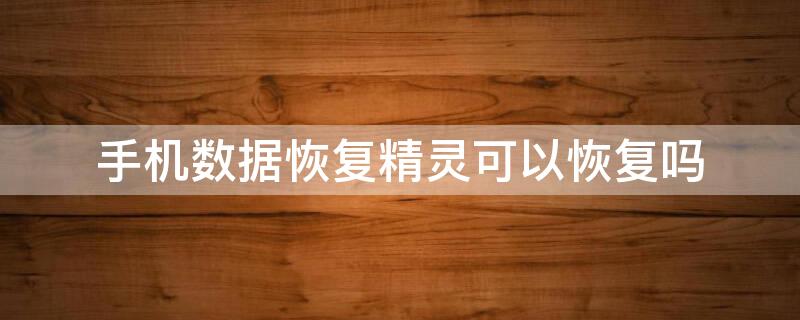 手机数据恢复精灵可以恢复吗（手机数据恢复精灵可以恢复吗安卓）