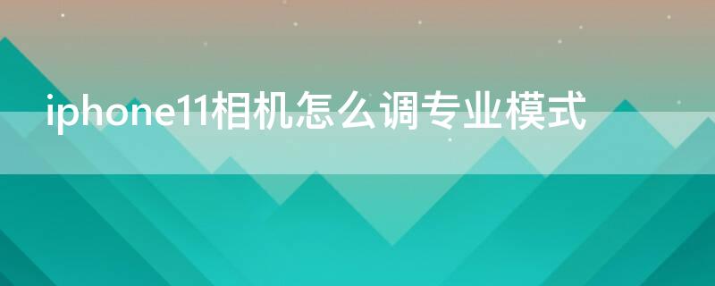 iPhone11相机怎么调专业模式（苹果手机11相机怎么调专业模式）