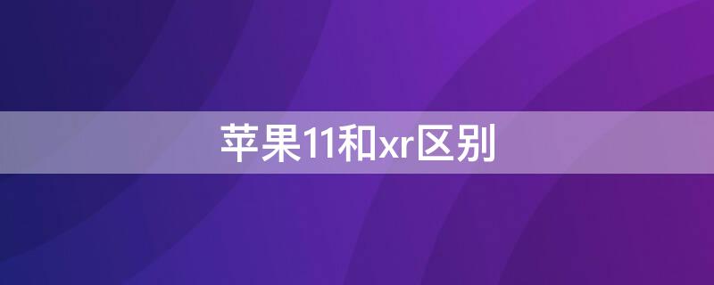 iPhone11和xr区别 iPhone11和xr区别大吗