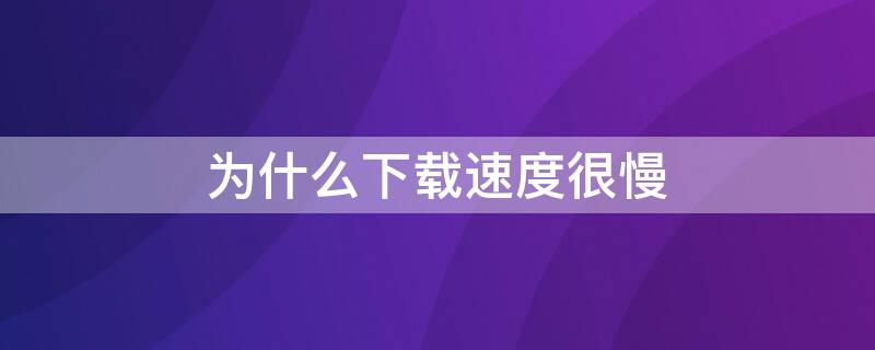 为什么下载速度很慢（wifi为什么下载速度很慢）