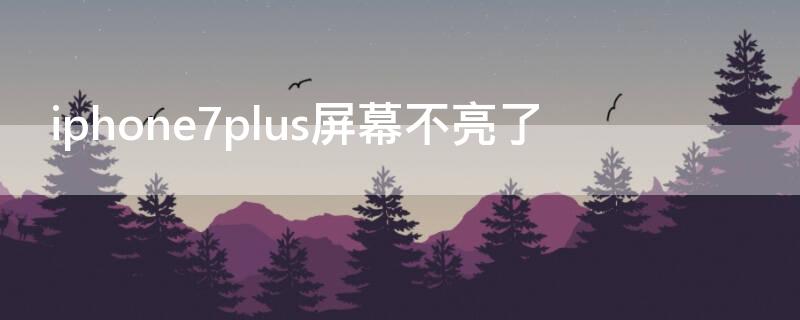 iPhone7plus屏幕不亮了 苹果7plus屏幕不亮
