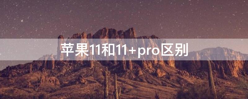 iPhone11和11 iphone11和11pro max区别