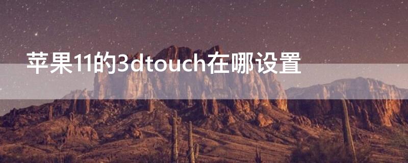 iPhone11的3dtouch在哪设置（苹果11手机3dtouch功能在哪里）