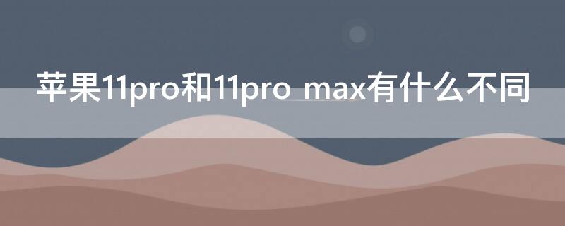 iPhone11pro和11pro iphone11pro和11promax摄像头区别