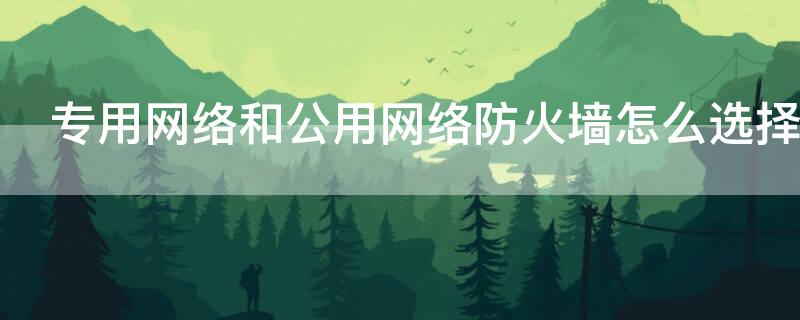 专用网络和公用网络防火墙怎么选择（专用网络和公用网络防火墙怎么选择设置）