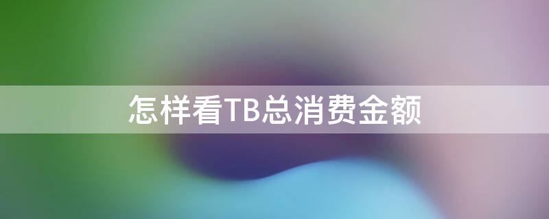 怎样看TB总消费金额 怎样看tb总消费金额