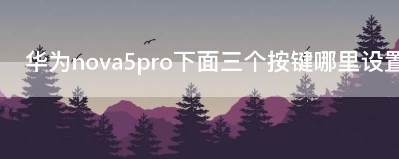 华为nova5pro下面三个按键哪里设置（华为nova5pro菜单键）
